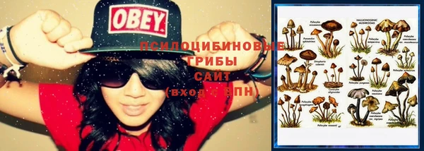 спиды Абдулино