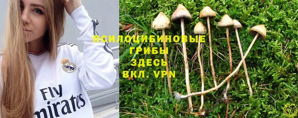 MESCALINE Абаза