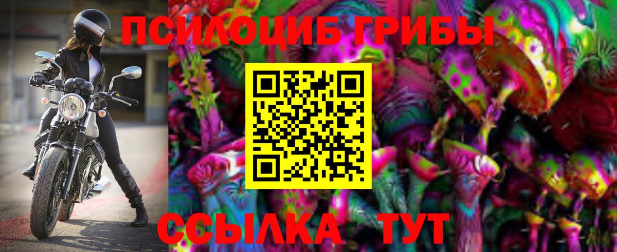 Зеленогорск  Галлюциногенные грибы ЛСД  Вход с VPN  Галлюциногенные грибы MAGIC MUSHROOMS 